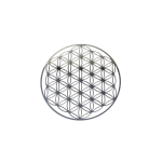 Fleur de vie inox