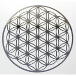 Flower of Life Roestvrij Staal