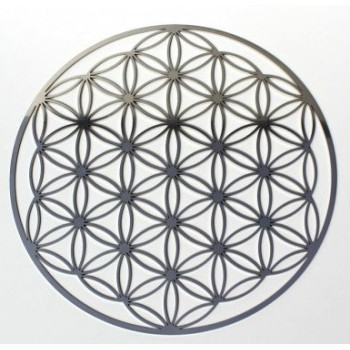 Flower of Life Roestvrij Staal