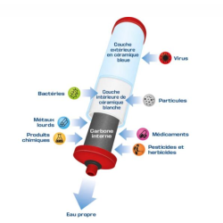 6-month CTO MAX CF1075W/ CF504W subscription