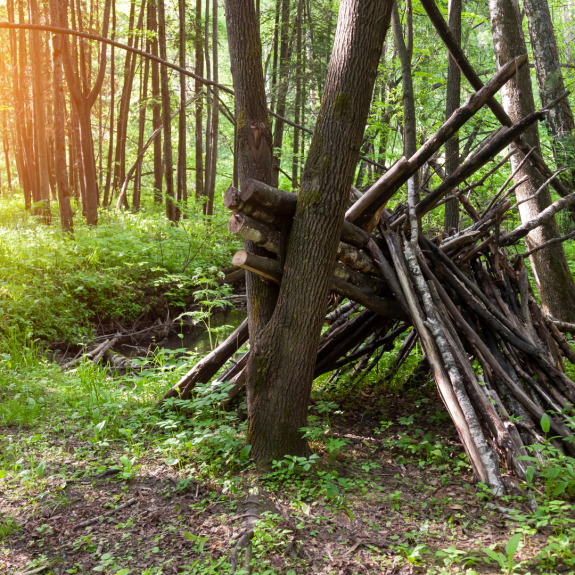 Purification et survie