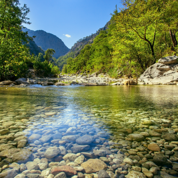 Est-il possible d'utiliser mon purificateur d'eau pour filtrer et purifier de l'eau provenant de sources naturelles ?